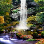 Logo of 3D Autumn Waterfall android Application 